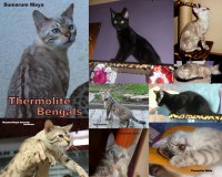 /album/%e2%99%a5-%e2%99%a5-%e2%99%a5/export-z-picasy2-jpg/